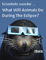Scientists have been watching animal behavior during eclipses for centuries, although the reliability of some accounts may be more believable than others.